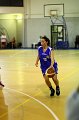 Basket 443008